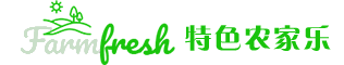 响应式农家乐户外活动企业网站模板(自适应手机端)